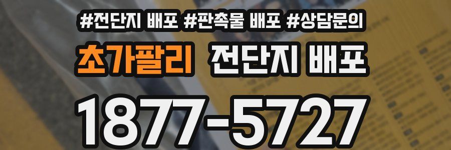 초가팔리 전단지 배포