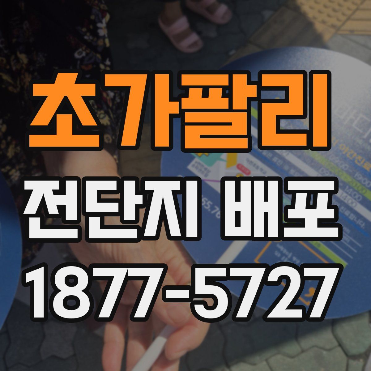 초가팔리 전단지 배포