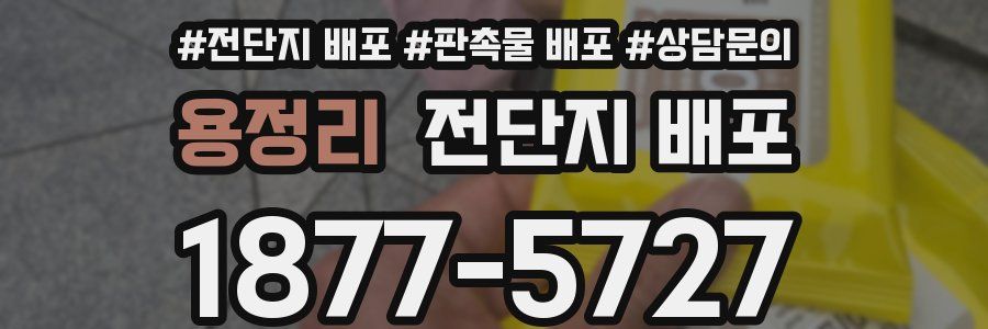 용정리 전단지 배포