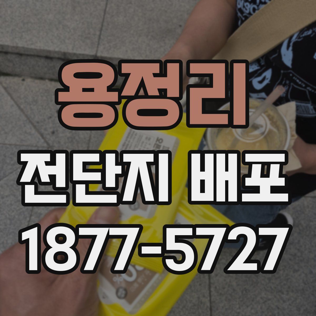 용정리 전단지 배포