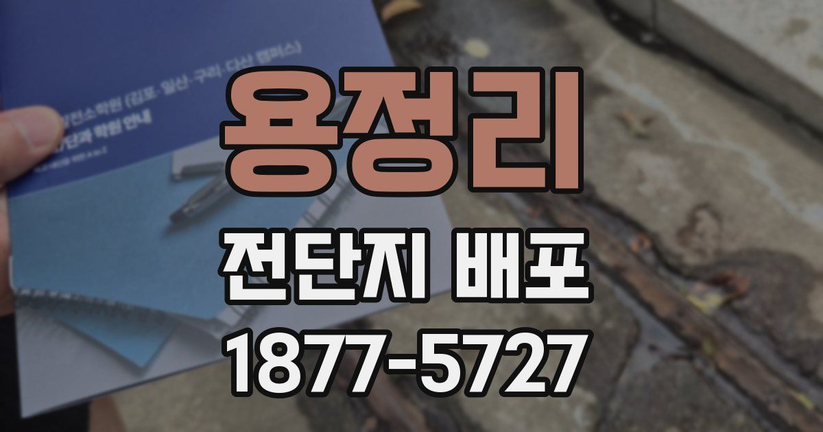 용정리 전단지 배포