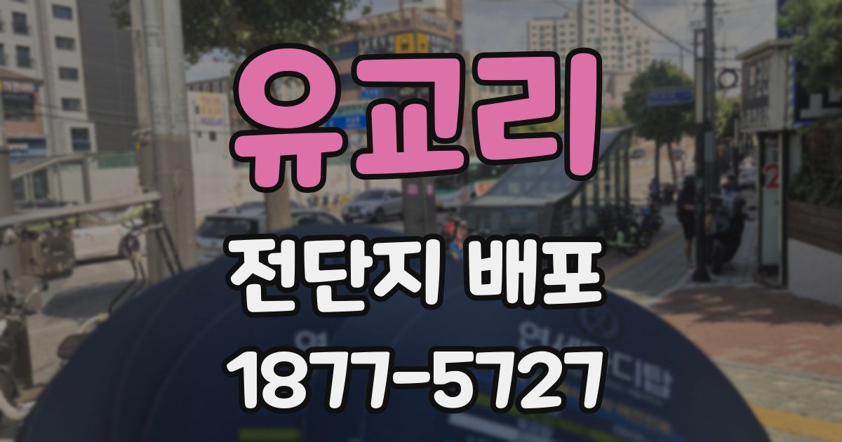 유교리 전단지 배포