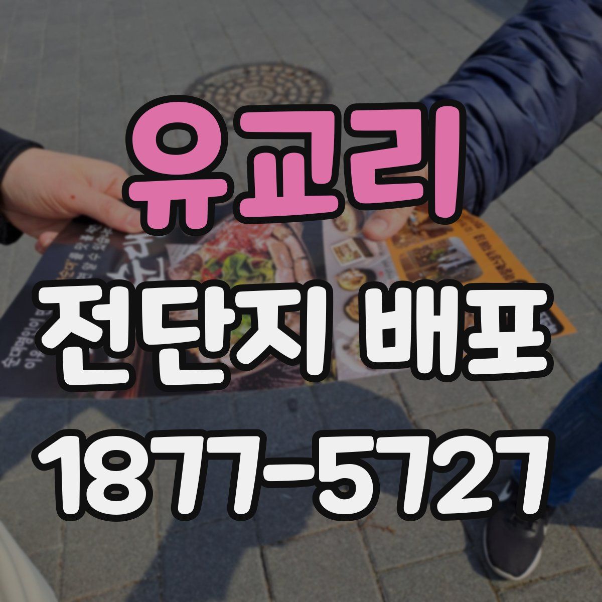 유교리 전단지 배포
