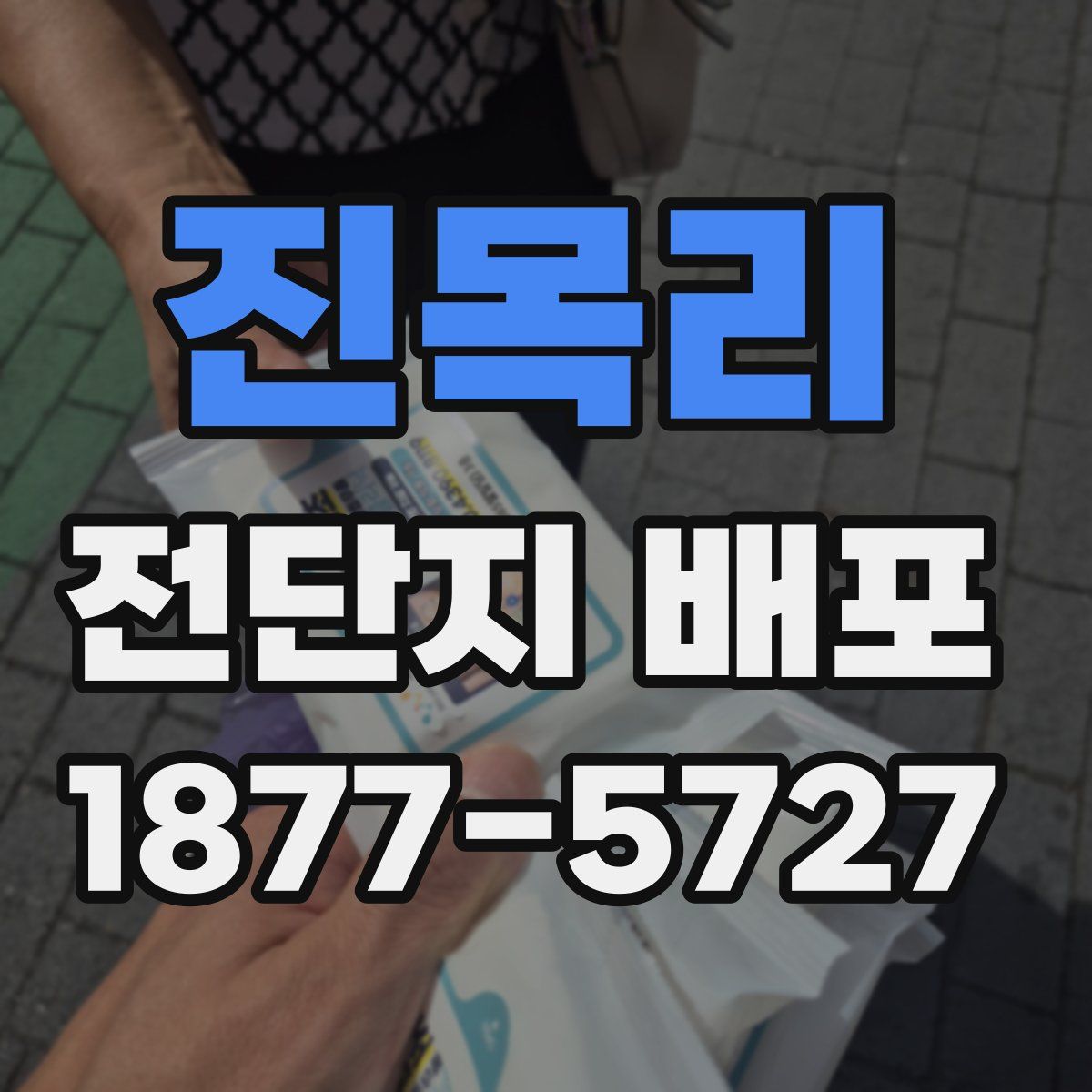진목리 전단지 배포