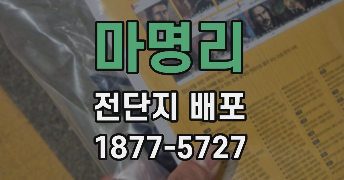 마명리 전단지 배포