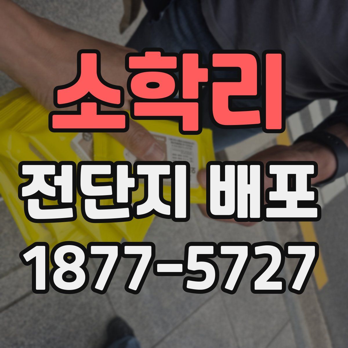 소학리 전단지 배포