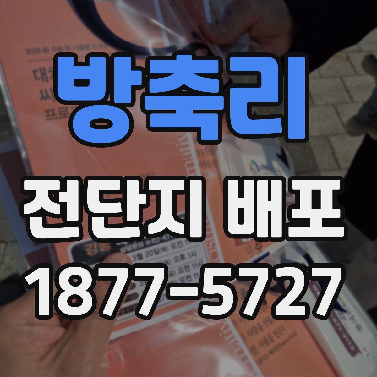 방축리 전단지 배포