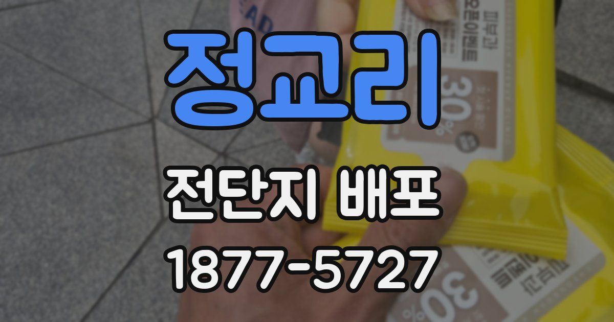 정교리 전단지 배포