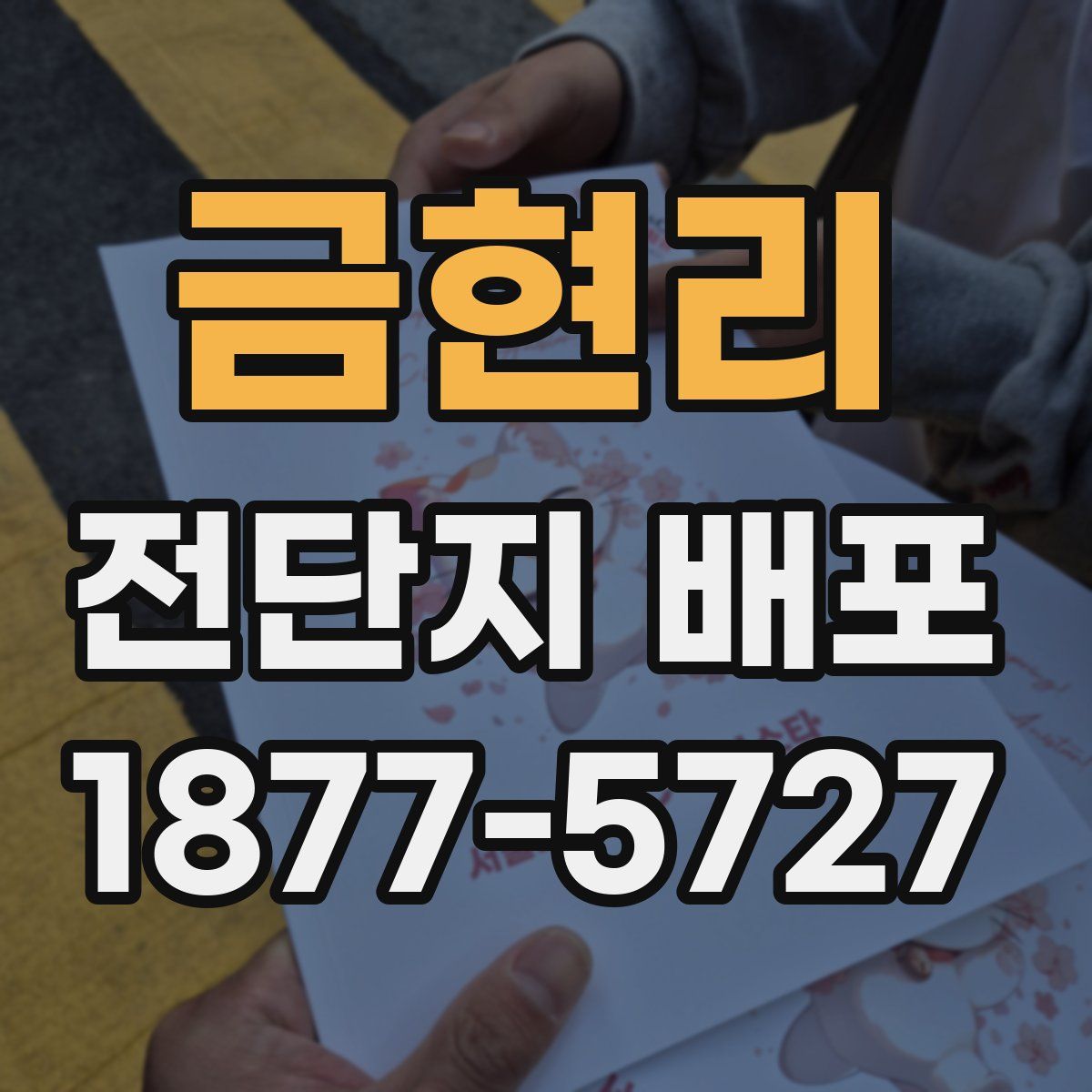 금현리 전단지 배포