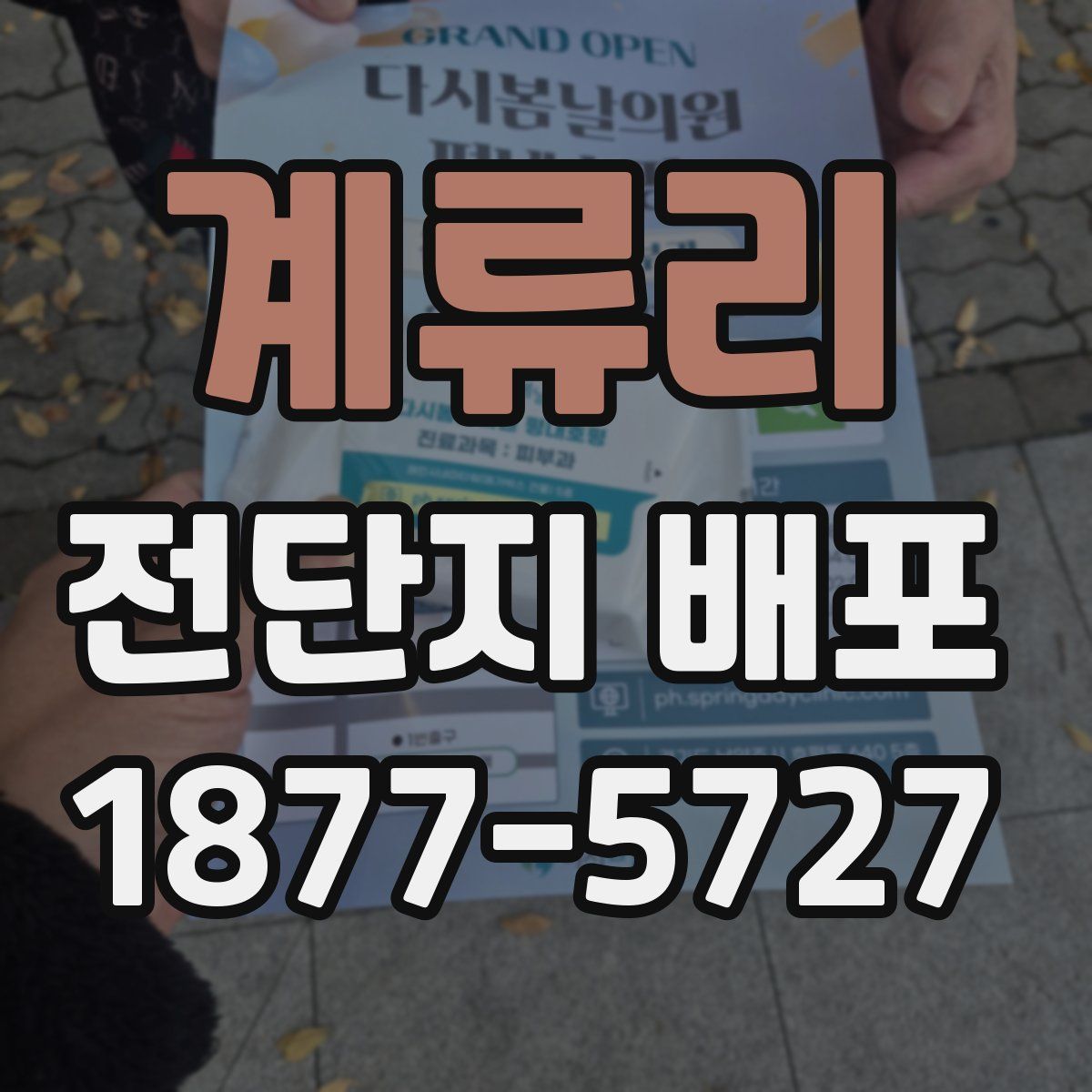 계류리 전단지 배포