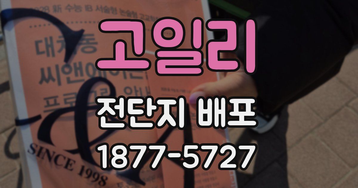 고일리 전단지 배포