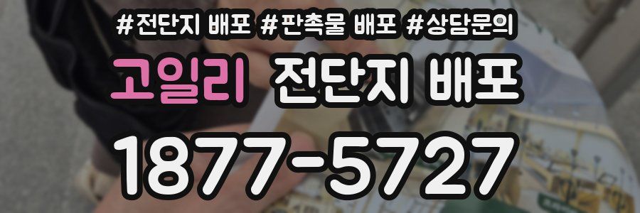 고일리 전단지 배포