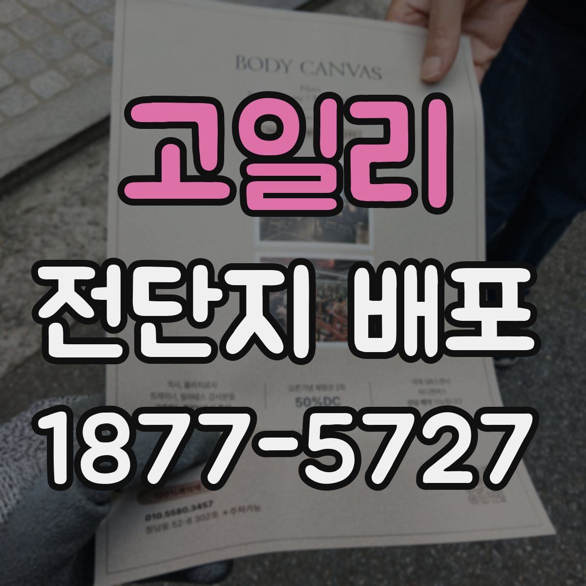 고일리 전단지 배포