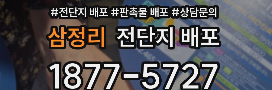 삼정리 전단지 배포