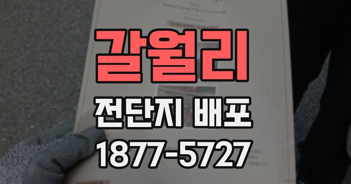 갈월리 전단지 배포