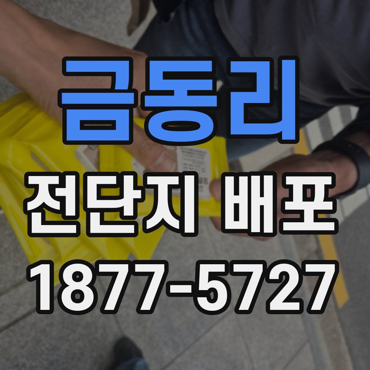 금동리 전단지 배포