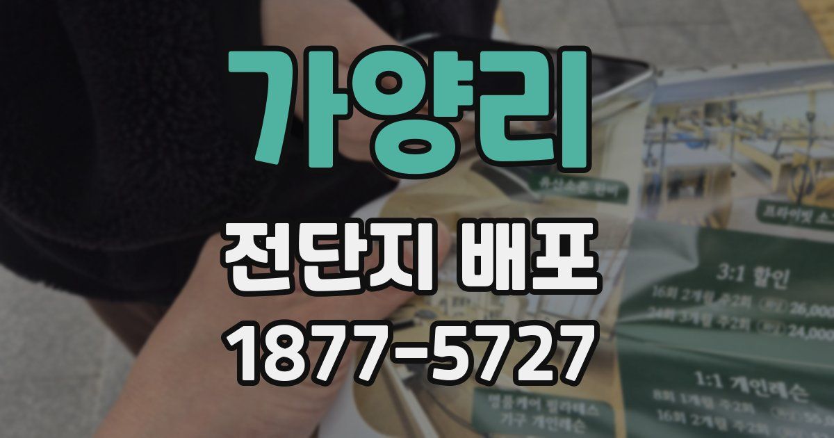 가양리 전단지 배포