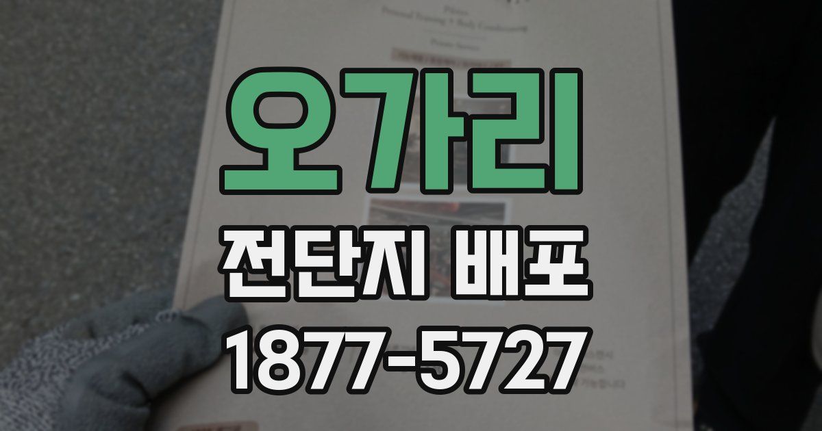 오가리 전단지 배포