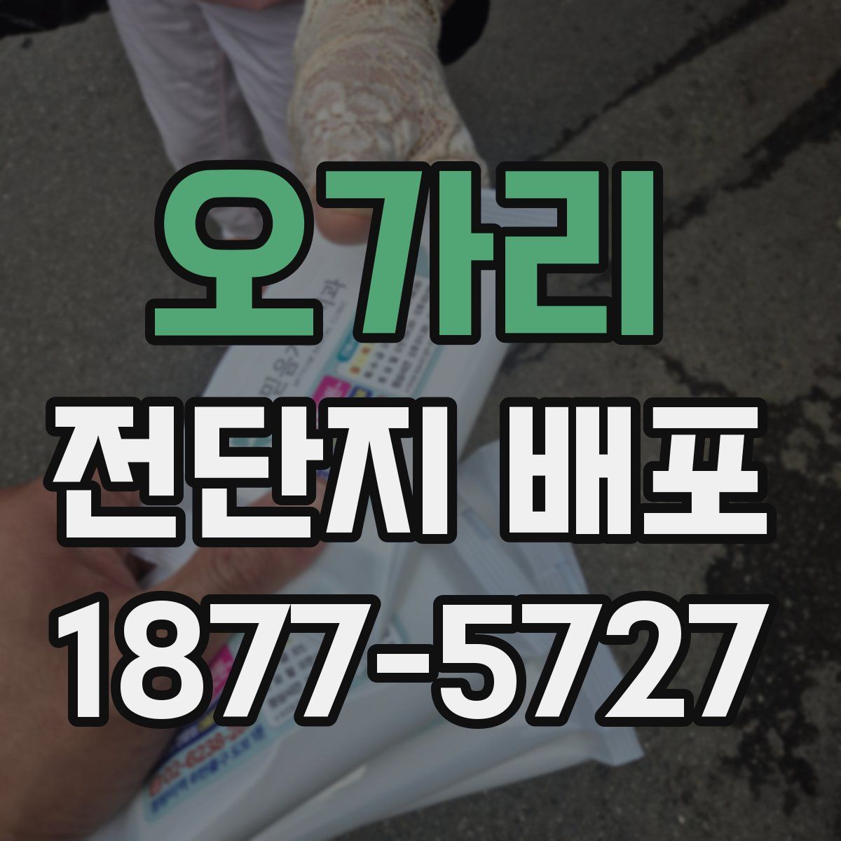 오가리 전단지 배포