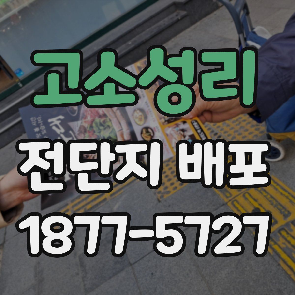 고소성리 전단지 배포