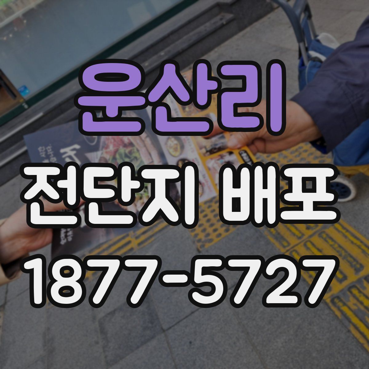 운산리 전단지 배포