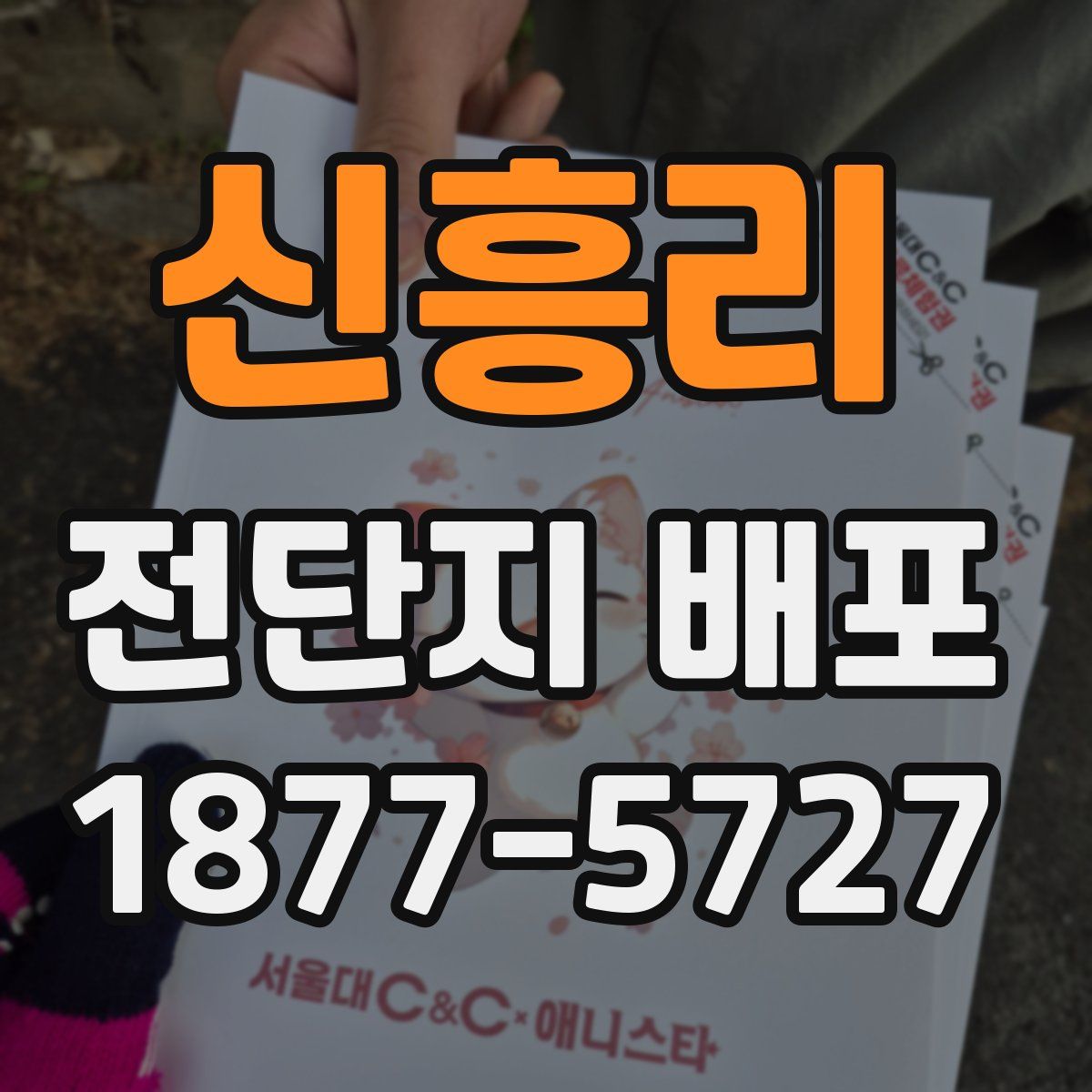 신흥리 전단지 배포