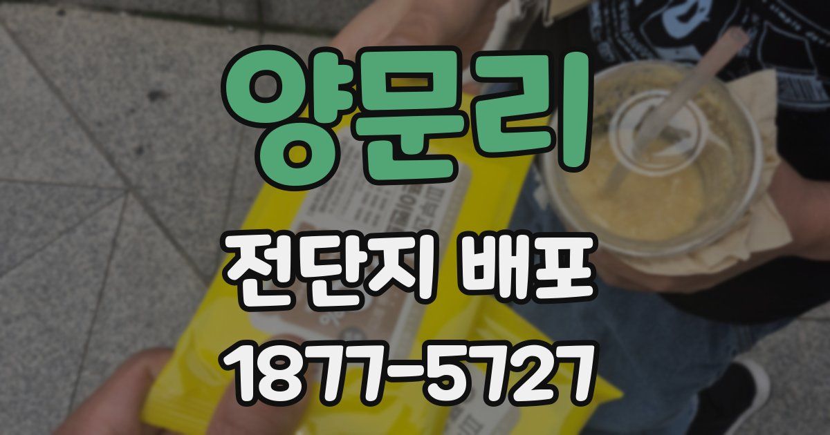 양문리 전단지 배포