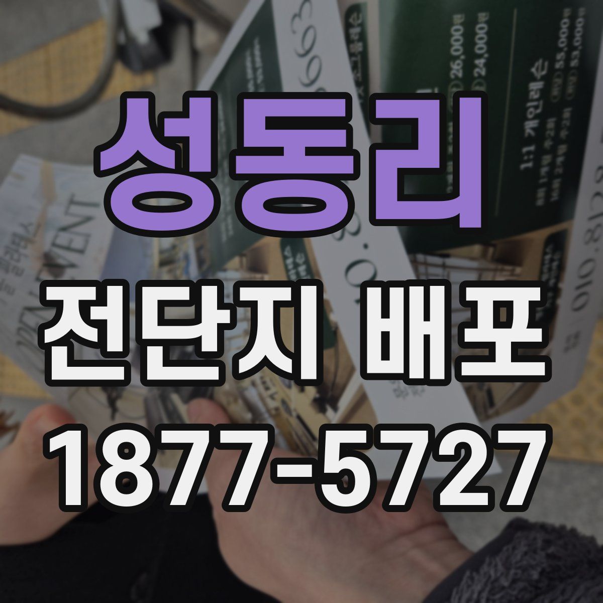 성동리 전단지 배포