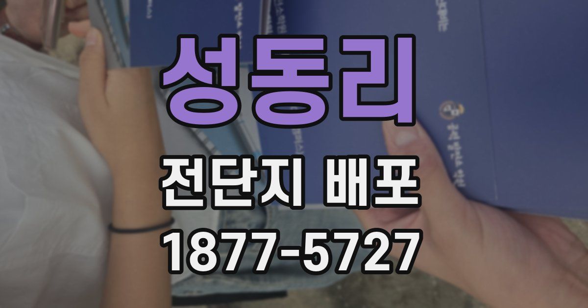 성동리 전단지 배포