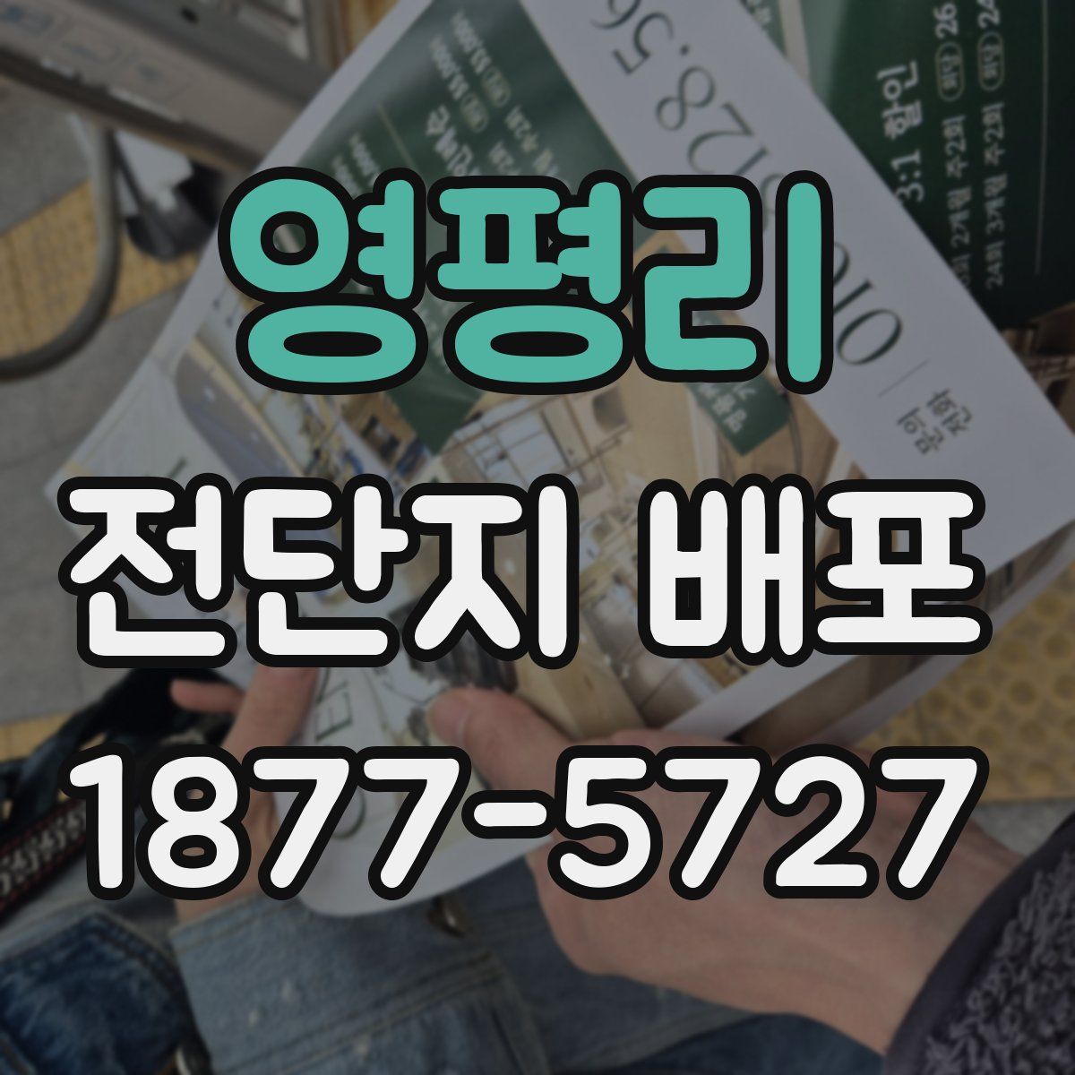 영평리 전단지 배포