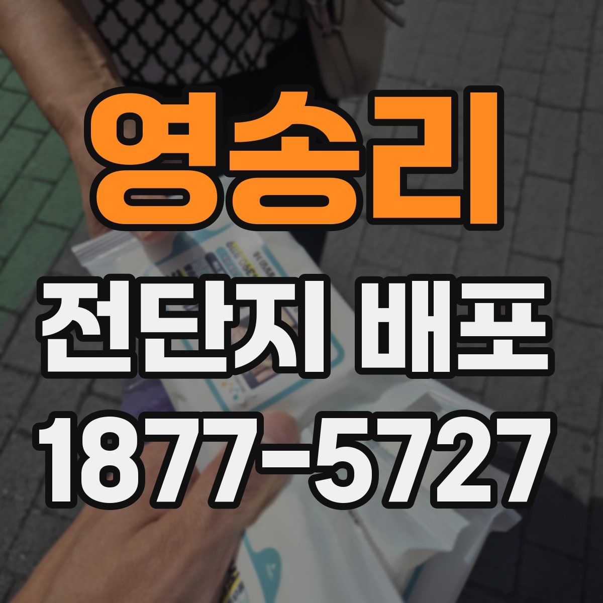 영송리 전단지 배포
