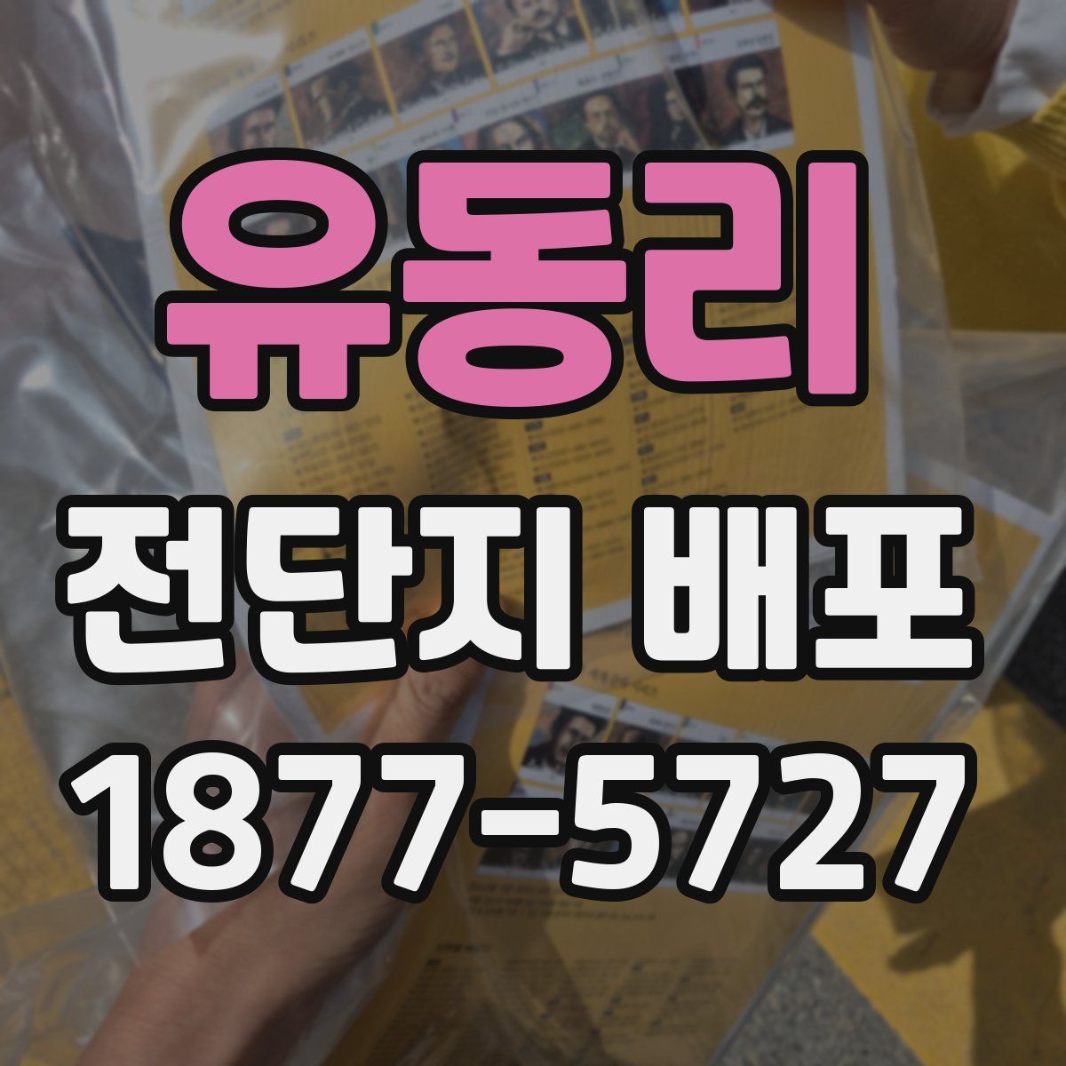 유동리 전단지 배포