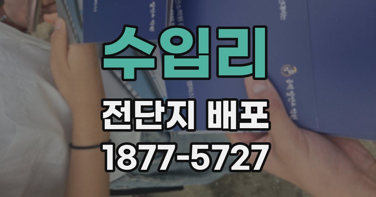 수입리 전단지 배포