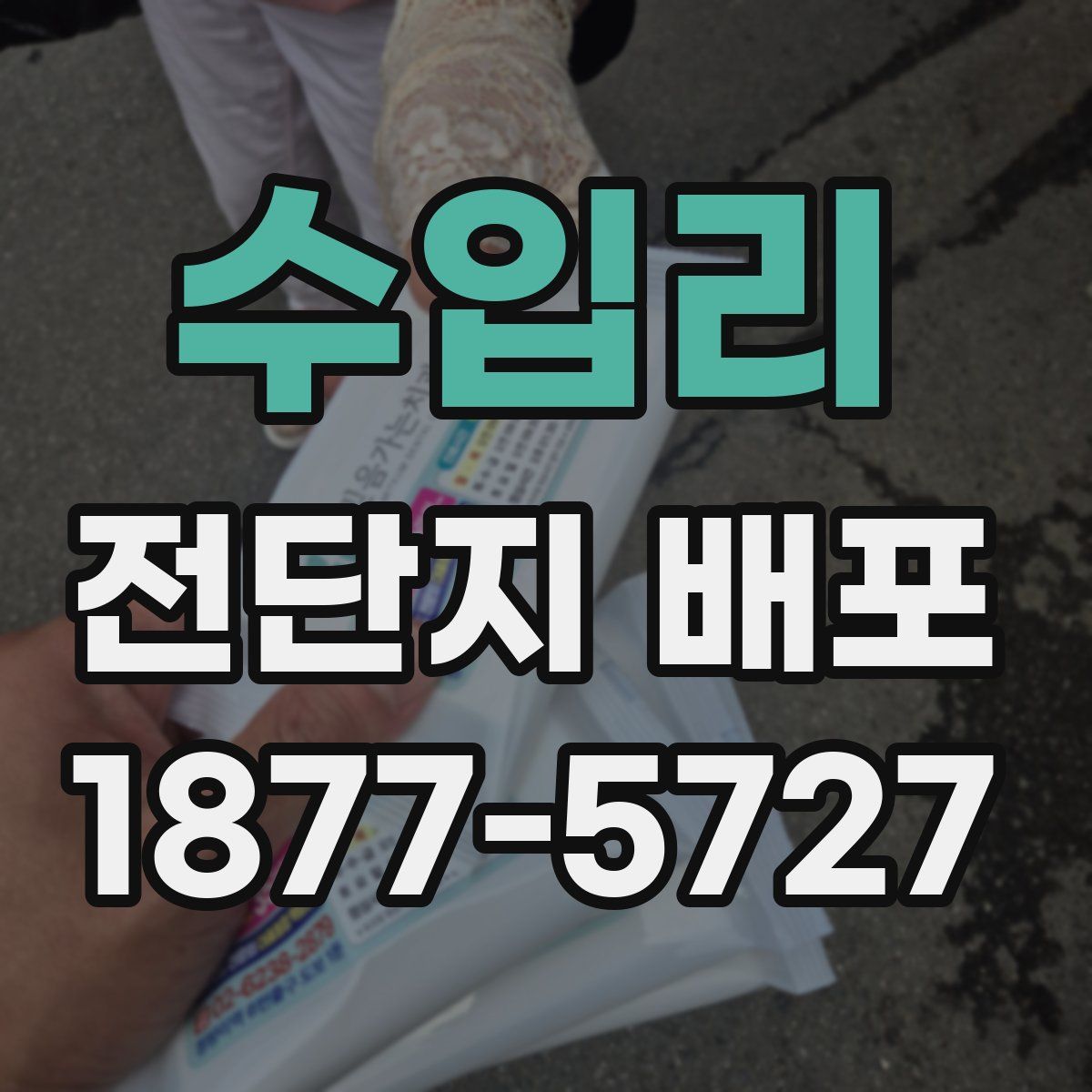 수입리 전단지 배포
