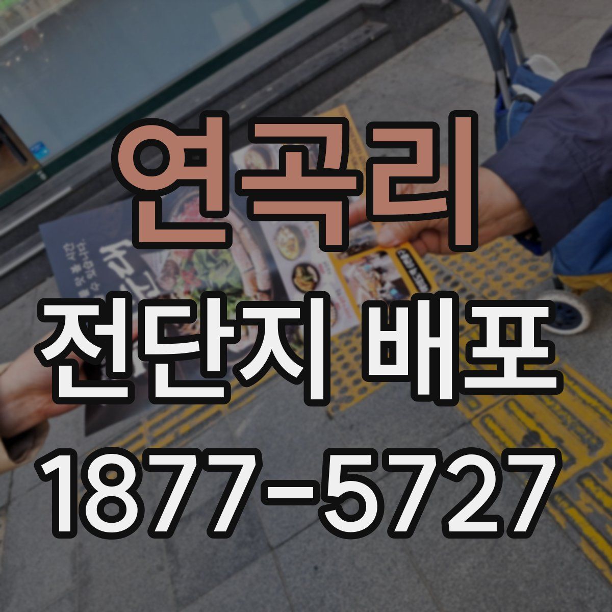 연곡리 전단지 배포