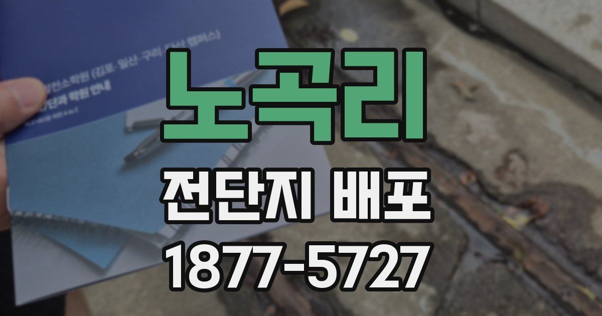 노곡리 전단지 배포