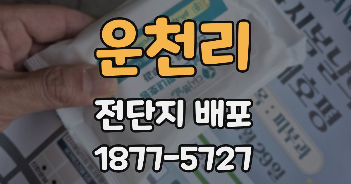 운천리 전단지 배포