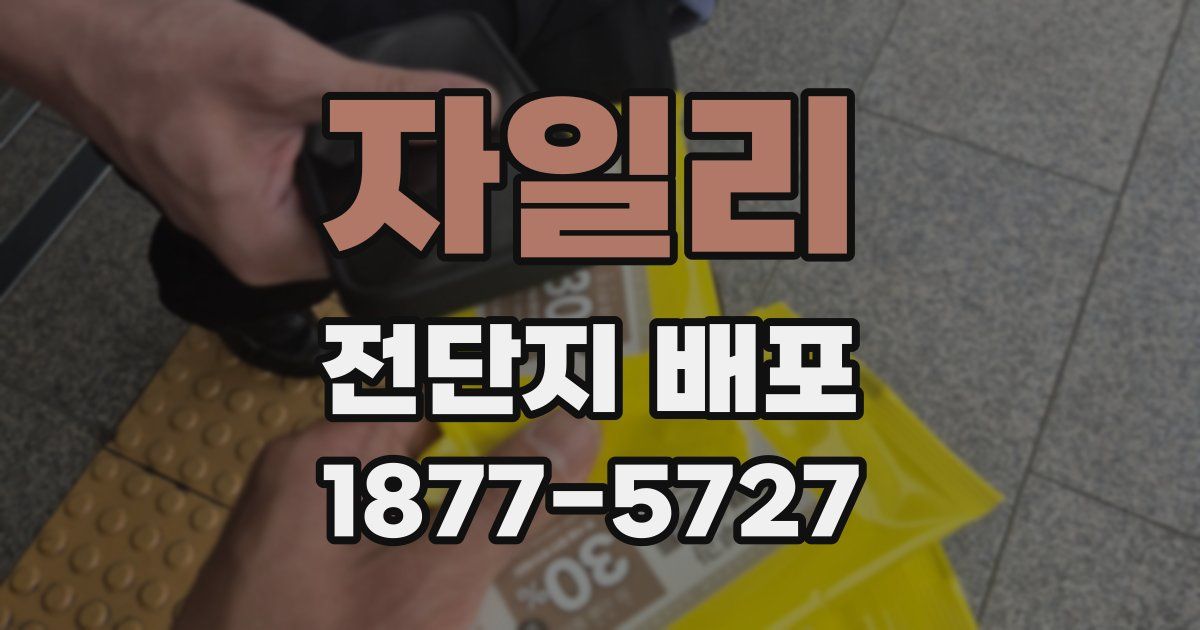 자일리 전단지 배포