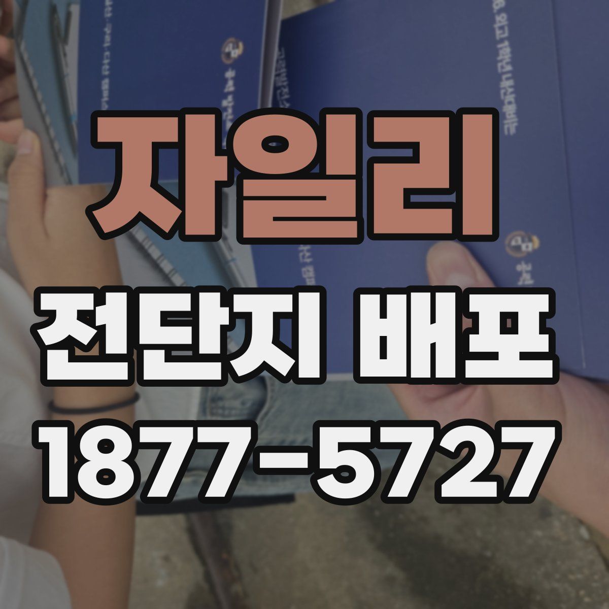 자일리 전단지 배포