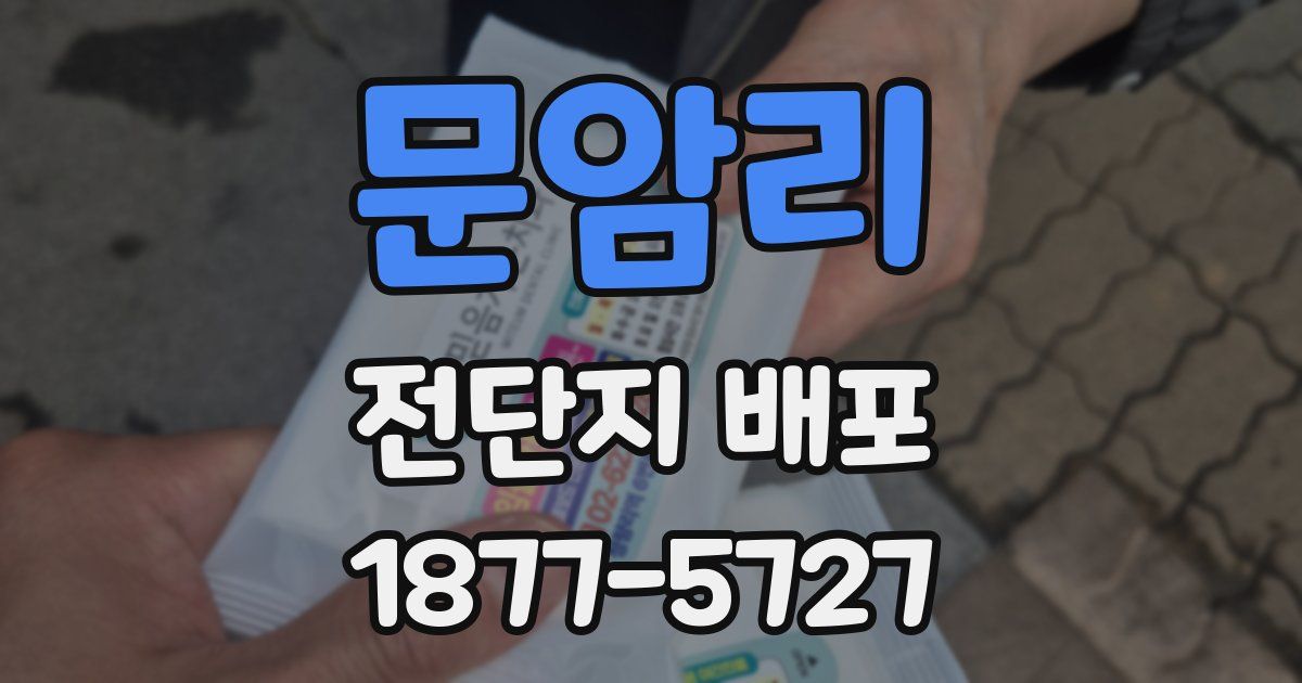 문암리 전단지 배포