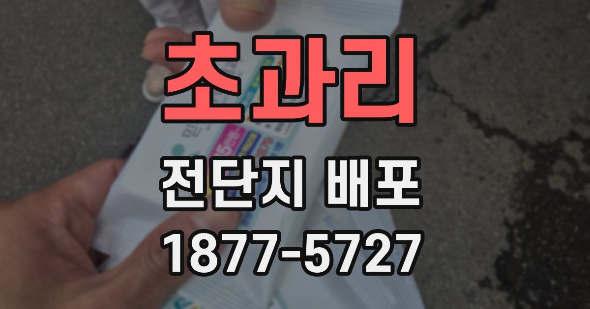 초과리 전단지 배포