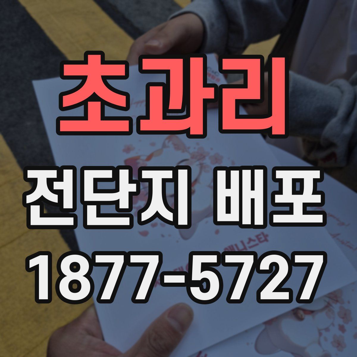 초과리 전단지 배포