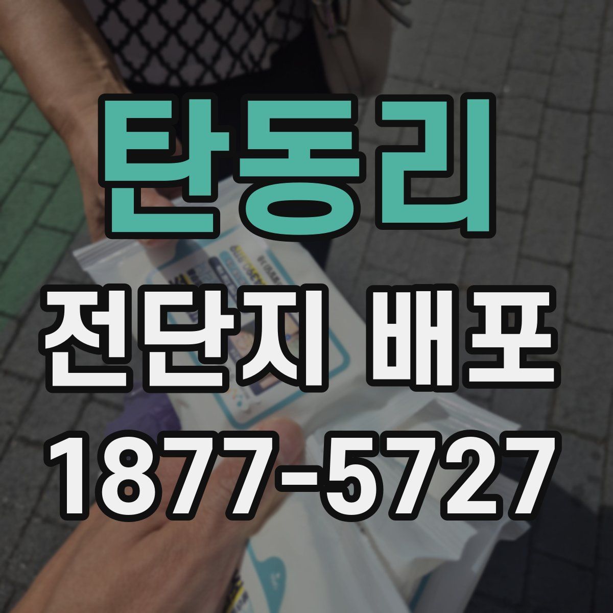 탄동리 전단지 배포