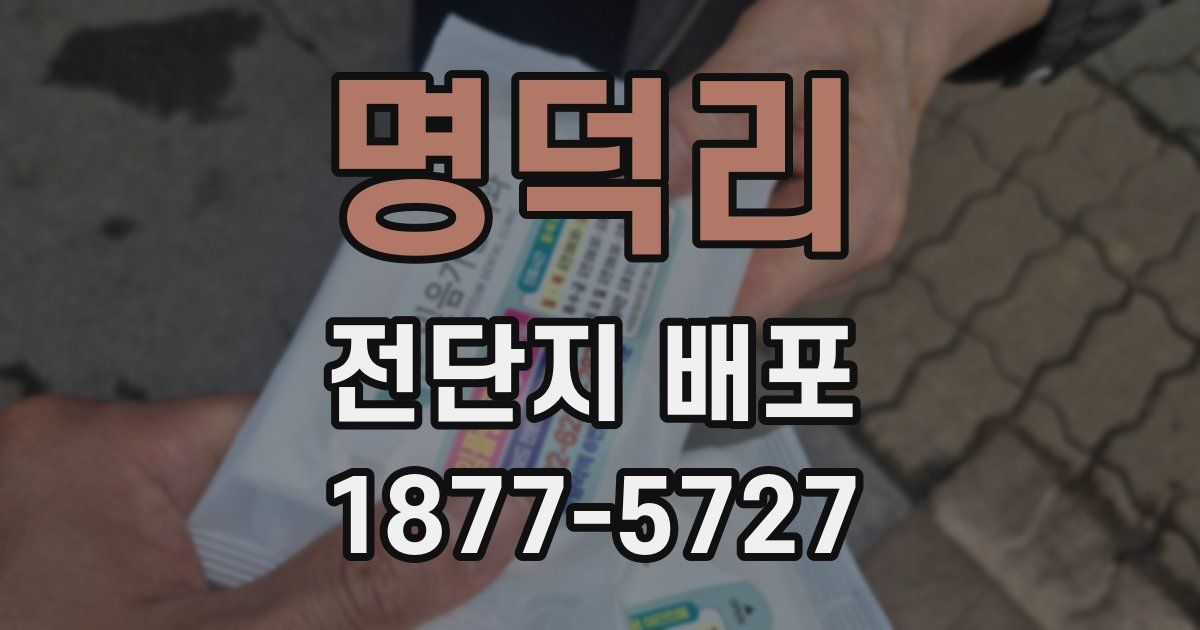 명덕리 전단지 배포