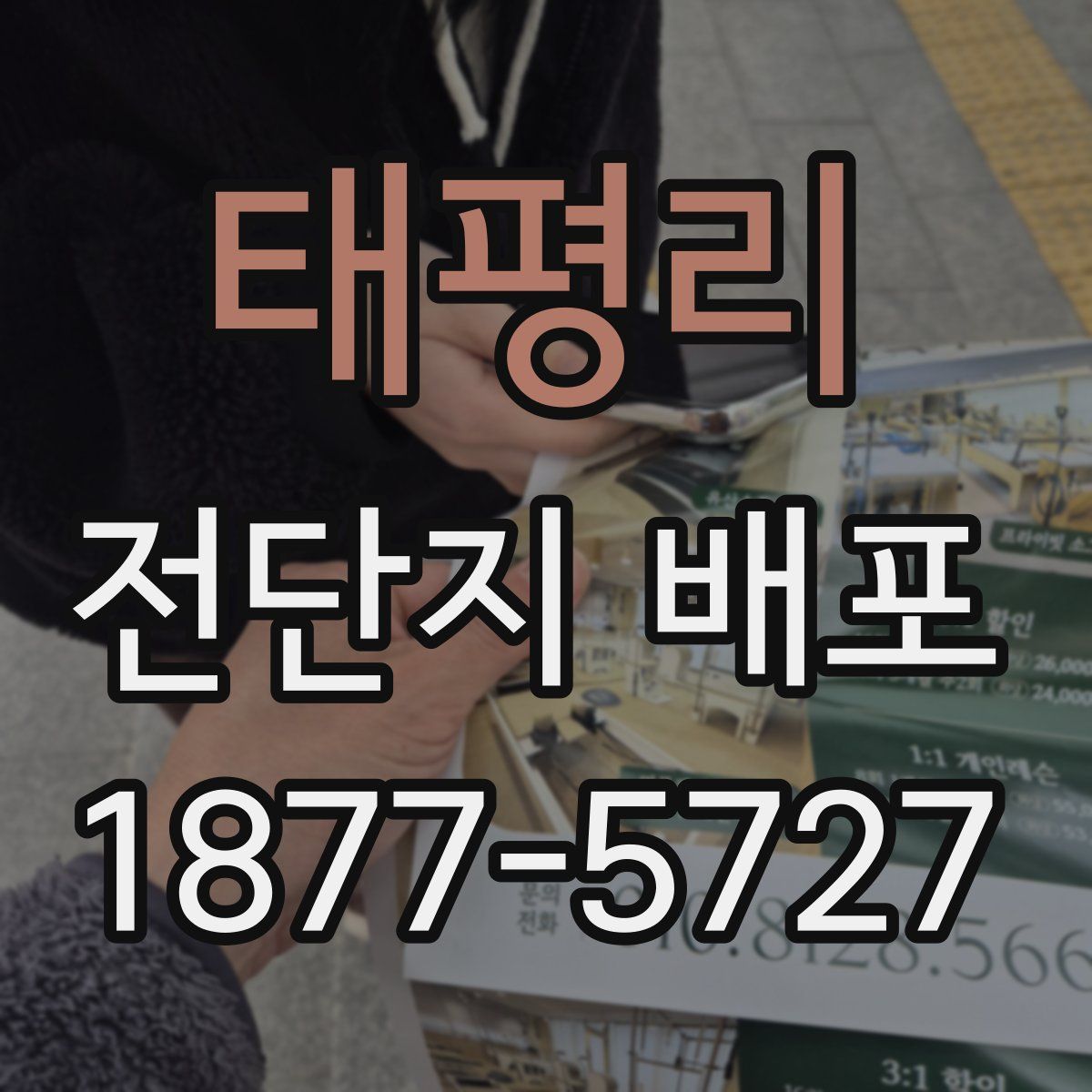 태평리 전단지 배포