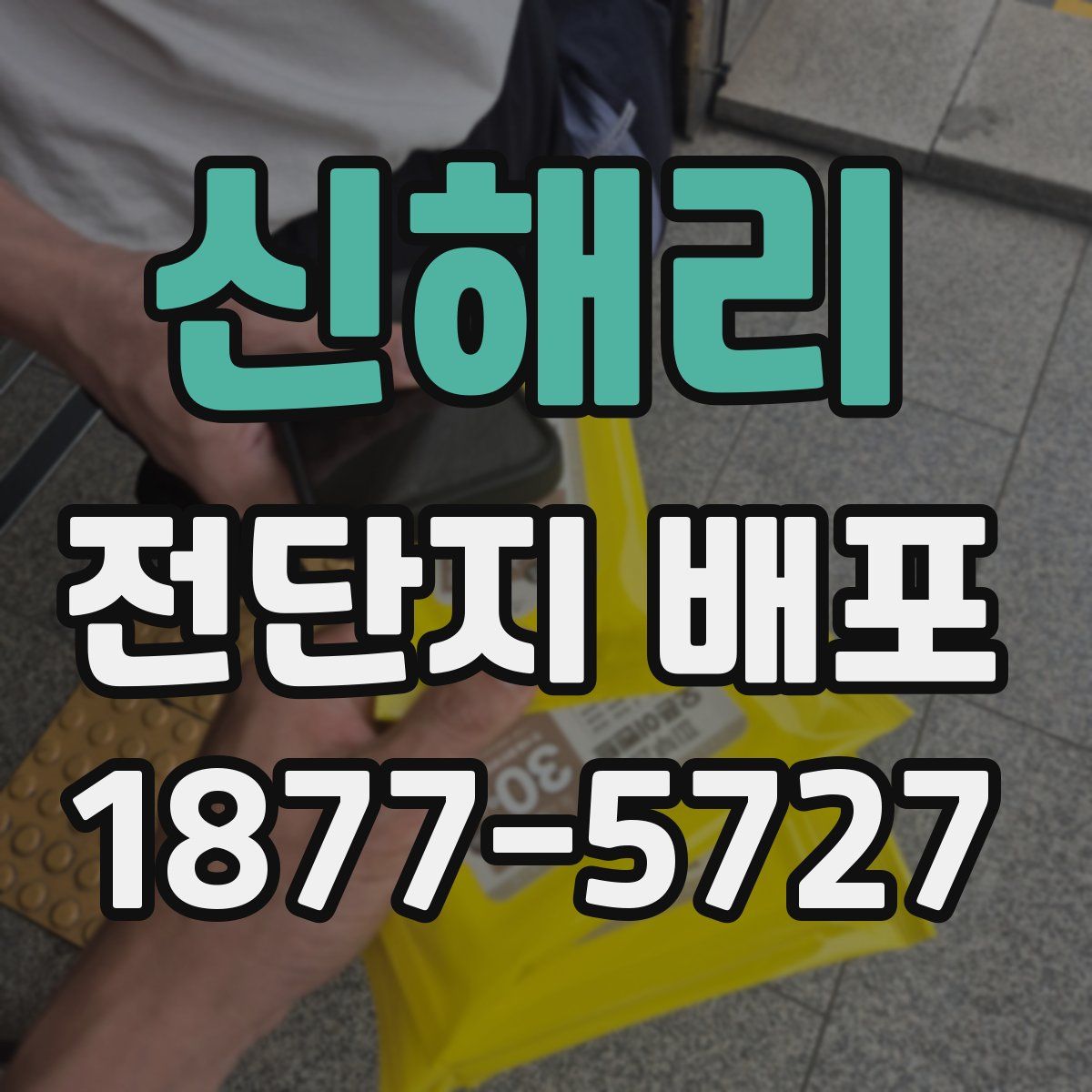 신해리 전단지 배포