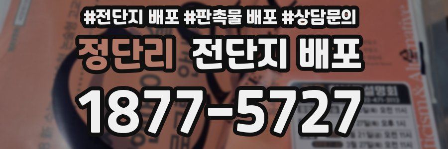 정단리 전단지 배포