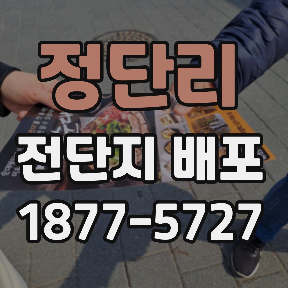 정단리 전단지 배포
