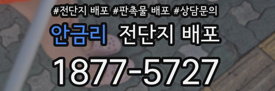안금리 전단지 배포