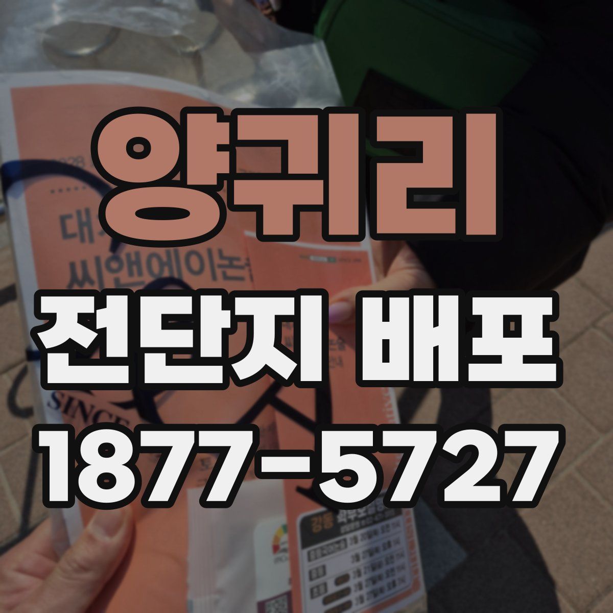 양귀리 전단지 배포